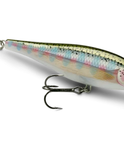 Best Sale ✨ Rapala BX Minnow 10cm - Crankbaits & plugs ❤️
