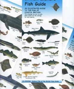Brand new 😉 Nigel Clarke Publications British Inshore Fish Guide Chart - Books & prints 💯