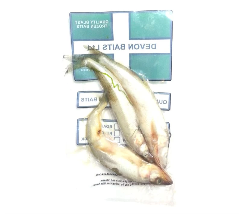 Cheap ๐ฅ Devon Baits Frozen Smelt - Frozen sea baits โ 2 Cheap ๐ฅ Devon Baits Frozen Smelt - Frozen sea baits โ - Image 2