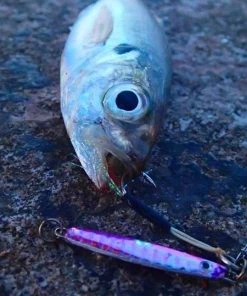 Hot Sale 👏 HTO Shore Jigs - Metal lures & pirks ⭐ 9 Hot Sale 👏 HTO Shore Jigs - Metal lures & pirks ⭐ -Sea Fishing outlet shop 1407161336 12