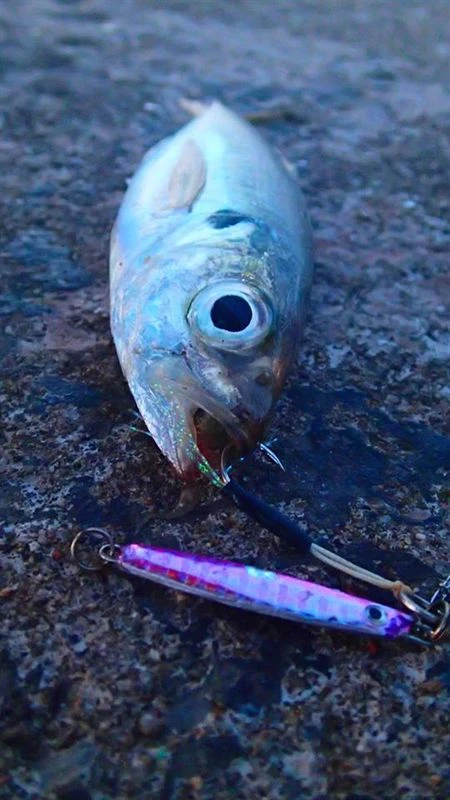 Hot Sale 👏 HTO Shore Jigs - Metal lures & pirks ⭐ 4 Hot Sale 👏 HTO Shore Jigs - Metal lures & pirks ⭐ - Image 4