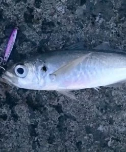 Hot Sale 👏 HTO Shore Jigs - Metal lures & pirks ⭐ 11 Hot Sale 👏 HTO Shore Jigs - Metal lures & pirks ⭐ -Sea Fishing outlet shop 1407161337 10