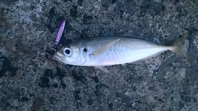 Hot Sale 👏 HTO Shore Jigs - Metal lures & pirks ⭐ 6 Hot Sale 👏 HTO Shore Jigs - Metal lures & pirks ⭐ - Image 6