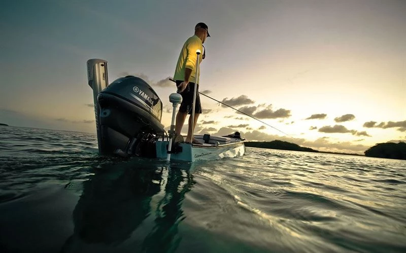 Coupon 👍 Minn Kota Riptide Saltwater Transom Mount Motors - Boats & motors 👍 5 Coupon 👍 Minn Kota Riptide Saltwater Transom Mount Motors - Boats & motors 👍 - Image 5