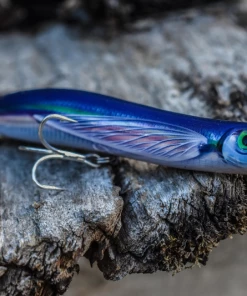 Discount 👍 Rapala Max Rap Walk n Roll - Topwater/surface lures ⌛ -Sea Fishing outlet shop 4lbbptks637441591694022963