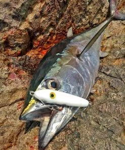 Outlet 🔥 Samson Lures Enticer Sub Surface Tweak Bait 30g - Crankbaits & plugs ⌛