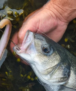 Coupon 🛒 Savage Gravity Stick Kit - Sandeels ⭐ -Sea Fishing outlet shop eq5w3cv4637370660572178427