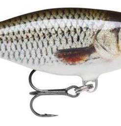 Cheap 🥰 Rapala Shad Rap Lures 7cm - Crankbaits & plugs 👍 -Sea Fishing outlet shop freyhnix635878663710017774