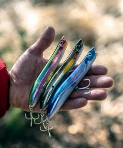 Discount 👍 Rapala Max Rap Walk n Roll - Topwater/surface lures ⌛ -Sea Fishing outlet shop ipwflfuh637441591694179223