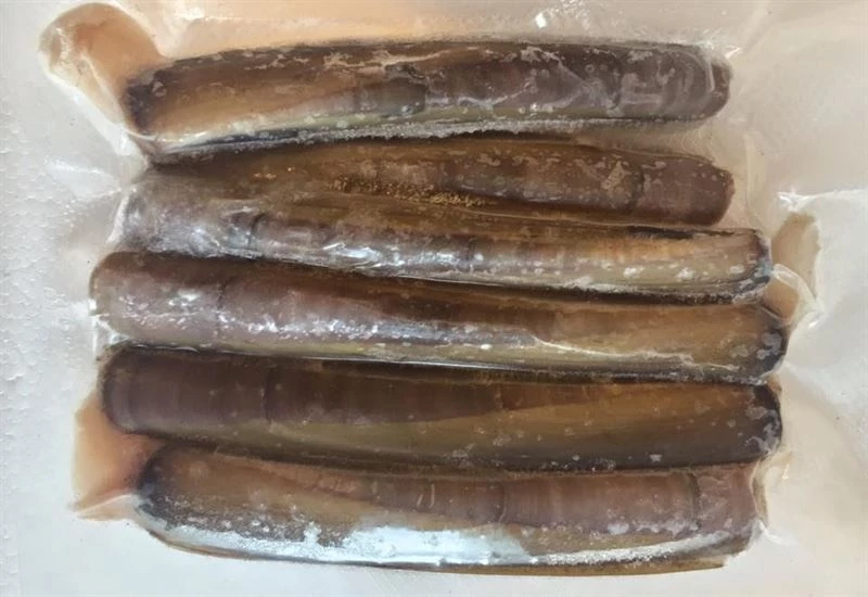 Coupon โ Devon Baits Frozen Razor Fish - Frozen sea baits ๐ 2 Coupon โ Devon Baits Frozen Razor Fish - Frozen sea baits ๐ - Image 2