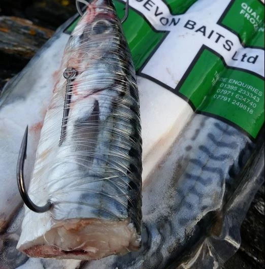 Best Sale 🧨 Devon Baits Frozen Joey Mackerel - Frozen sea baits ⌛ 3 Best Sale 🧨 Devon Baits Frozen Joey Mackerel - Frozen sea baits ⌛ - Image 3