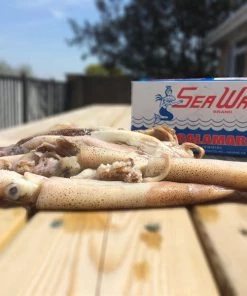 Coupon 🌟 Sea Wave Frozen Squid - Frozen sea baits 🔔